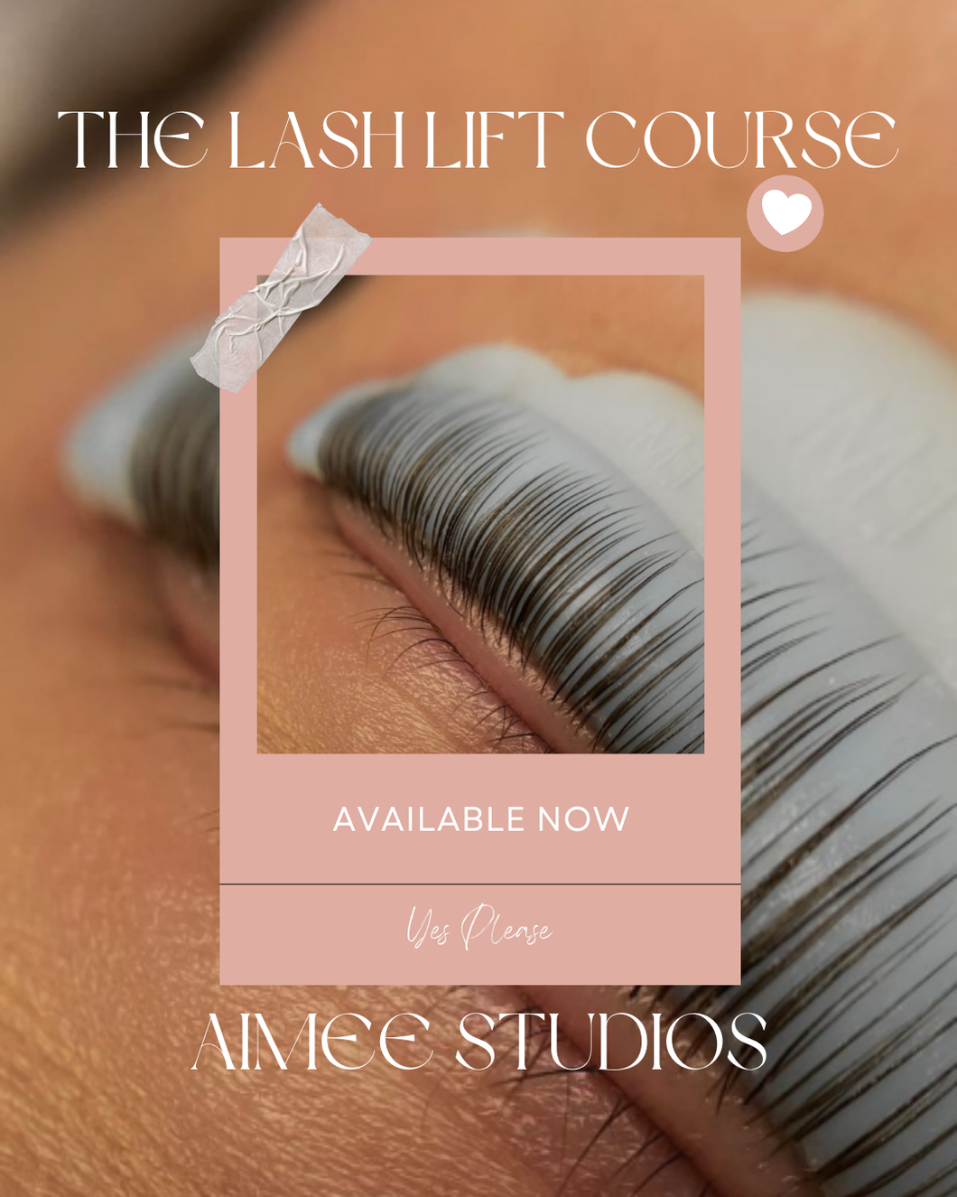 The Lash Lift Course